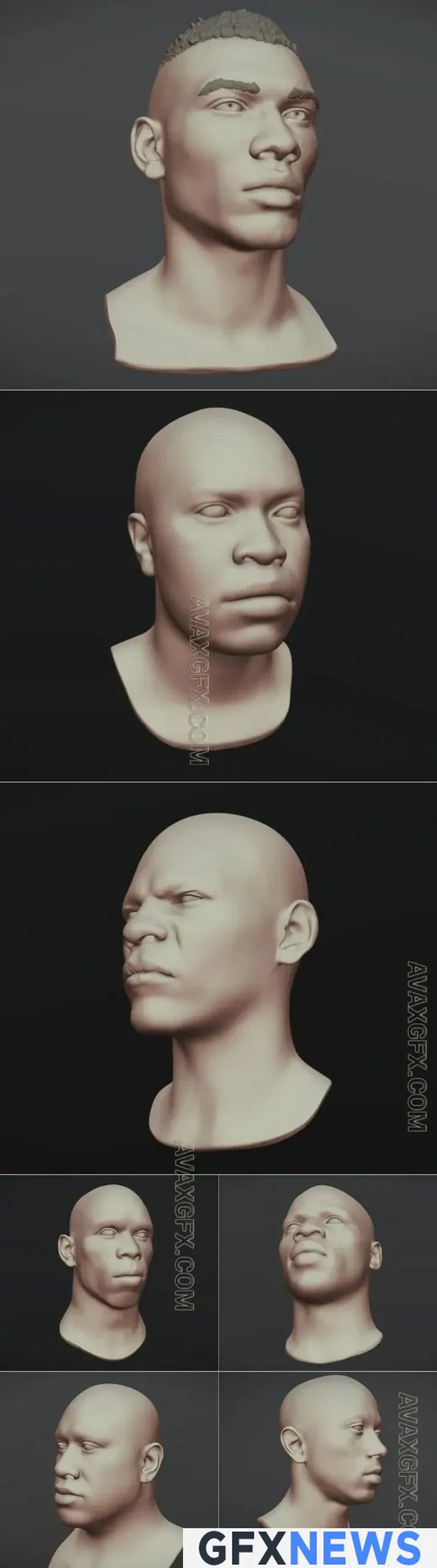 Green grape - 3D Model